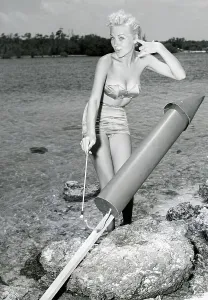 Fourth Of July Celebration Drucke: Model Lighting Skyrocket