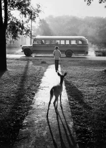 Childhood Innocence Images Drucke: Off to School