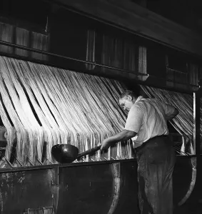 Textile Manufacturing Process Drucke: Processing Rayon