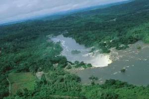 Brazilian Nature Photography Drucke: River and Forest