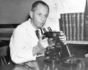 Scientist Portrait Drucke: Scientist Using Microscope