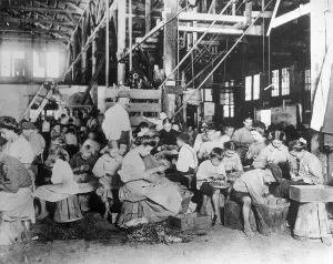 Women In The Workforce Drucke: String Beans Being Processed by Hand