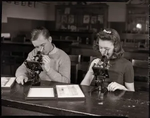 Classroom Scenes From The Past Drucke: Students Looking Through Microscopes