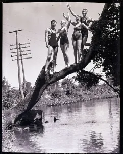 Vintage Swimwear Models Drucke: Swimmers Standing on Tree Branch