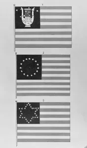 Display of Flags