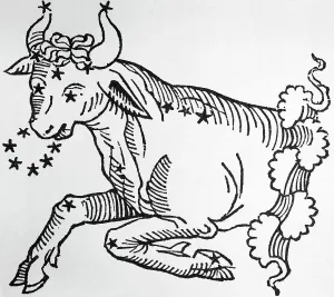Taurus