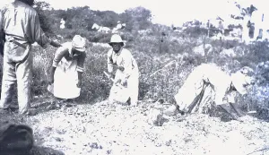 Miners At Work Drucke: Workers Digging for Coal