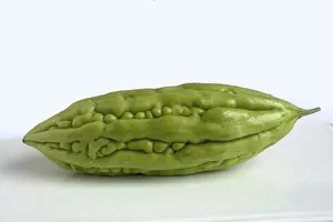 Healthy Eating Stock Photos Drucke: Bitter cucumber