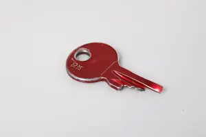 Closeup Photography Drucke: Broken key