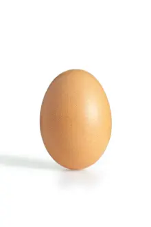 Cut Out Food Photography Drucke: A brown egg