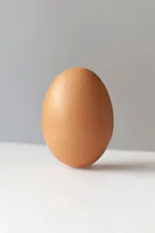 Ein braunes Ei