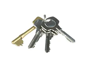 Bunch Of Keys Drucke: Bunch of keys