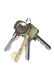 Bunch Of Keys Drucke: Bunch of keys