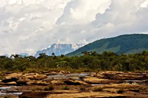 Tranquil River Scenes Drucke: canaima