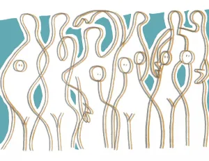 Abstrakte Kunst Drucke: Abstracte Nackte Modelle in Aktion - Faszinierende Kunstillustrationen