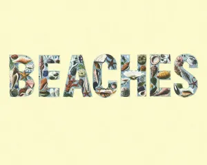 Beaches