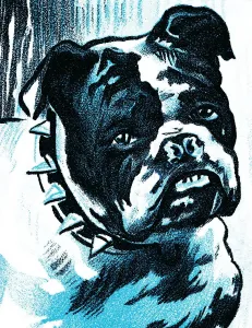 Ein Bulldog mit Spitzengurt in einem kunstvollen Illustrationsstil.