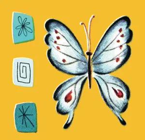 Colorful Butterfly Pictures Drucke: Butterfly pattern