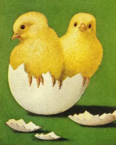 Colored Background Illustrations Drucke: Chicks Coming Out of Shell