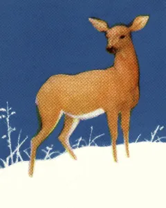 Ein Bild von einem Reh in einer kunstvollen Illustration