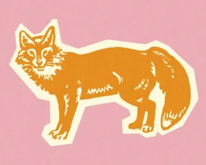 Colorful Wildlife Illustrations Drucke: Fox