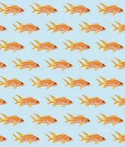 Colorful Background Artwork Drucke: Goldfish Pattern