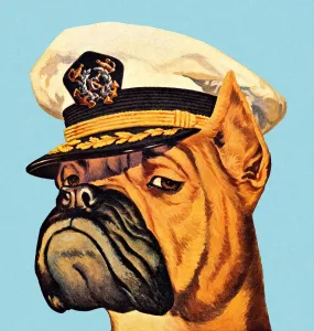 Drucke von Illustration eines Boxerdogs in einem Kapitänshut Pop-Art Drucke: Illustration eines Boxerdogs in einem Kapitänshutze