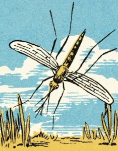Einzigartige Käfer-Illustration