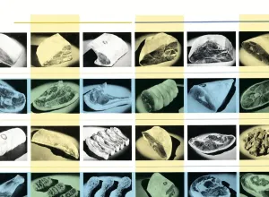 Food Background Images Drucke: Meat pattern