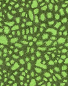 Retro Style Illustrations Drucke: Pattern