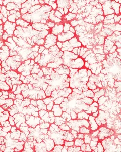 Captivating Fine Art Prints Drucke: Pattern
