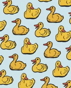 Muster der Enten