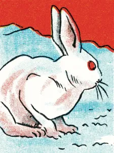 Arctic Wildlife Art Drucke: Rabbit