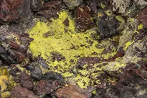 Isabela Island Ecuador Drucke: Chico Vulcano