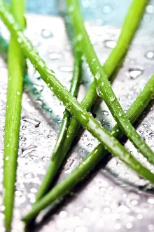 Fresh Herb Photography Drucke: Chives
