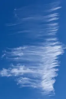Cloudy Day Germany Drucke: Cirrus cloud, Germany