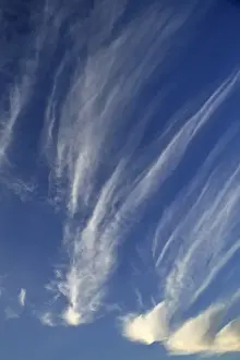 Sunny Day Images Drucke: Cirrus clouds