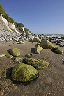 Steep Cliff Line Photography Drucke: Coastal cliffs, shingle beach and chalk cliffs
