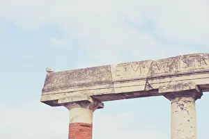 Pompeii Architecture Drucke: Column
