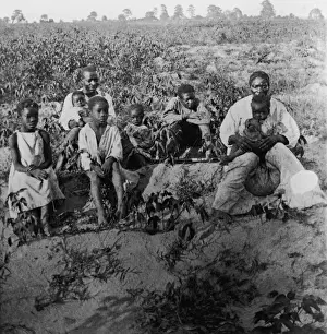 Kürziger Name für die Cottonpickern sind Cottonpicken, aber in den USA werden sie meist als Pflanzenarbeiter bezeichnet