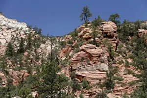 Sedimentary Rock Layers Drucke: Cross-stratification in sandstone, the Navajo Formation, Zion National Park, Utah, USA