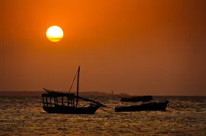 Zanzibar Sunset Drucke: Dhows at Sunset