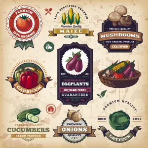 Vintage Style Illustrations Drucke: Assorted Vegetable Labels