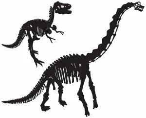 White Background Silhouette Drucke: Dinosaur Bones (Vector)