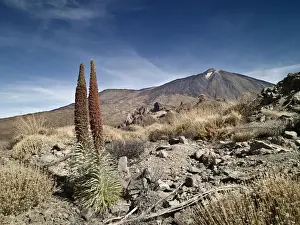 El Teide National Park Drucke: Dormant volcano