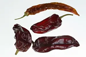 Trockene Chilischoten