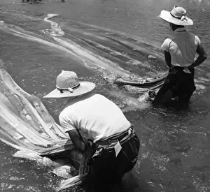 Vintage Textile Industry Drucke: Dying Cloth
