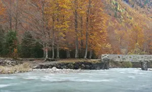 Ordesa National Park Drucke: Fall colors
