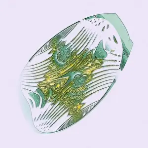 Digital Art Graphics Drucke: Fractal graphics, abstract