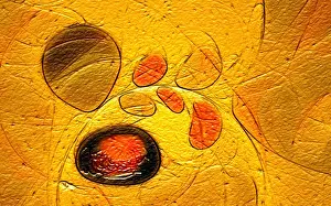 Digital Artwork Drucke: Fractal graphics, abstract